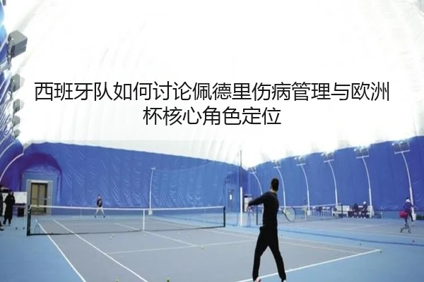 西班牙队如何讨论佩德里伤病管理与欧洲杯核心角色定位
